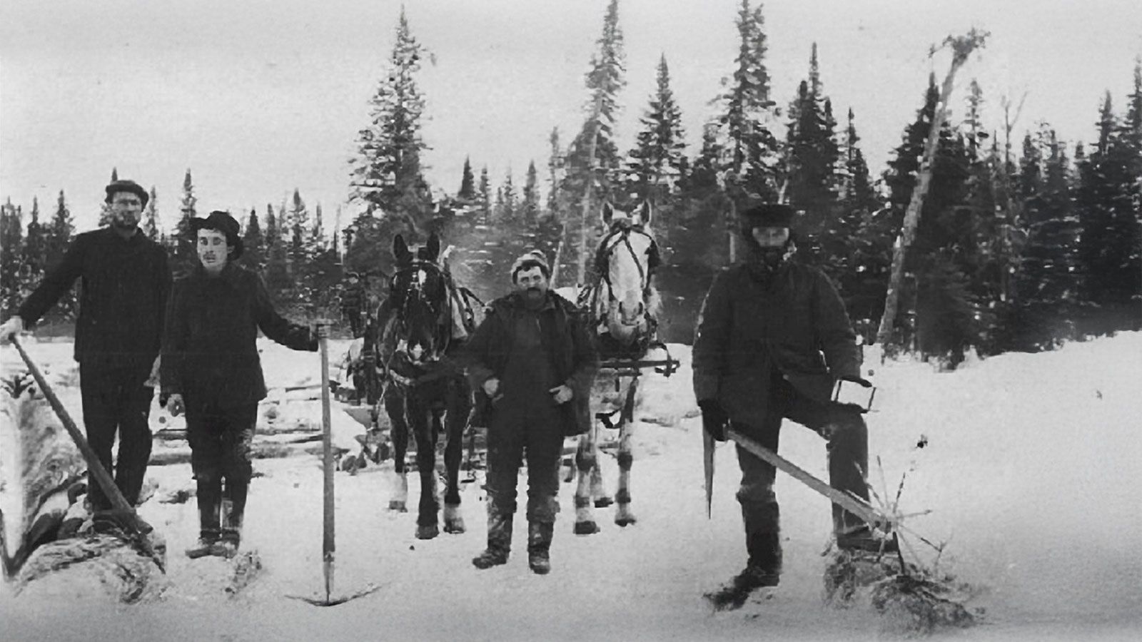 The Scaler's Measure