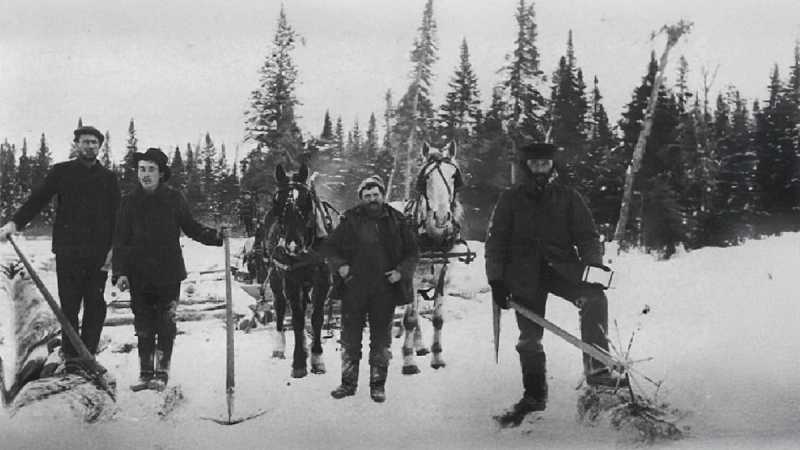 The Scaler's Measure