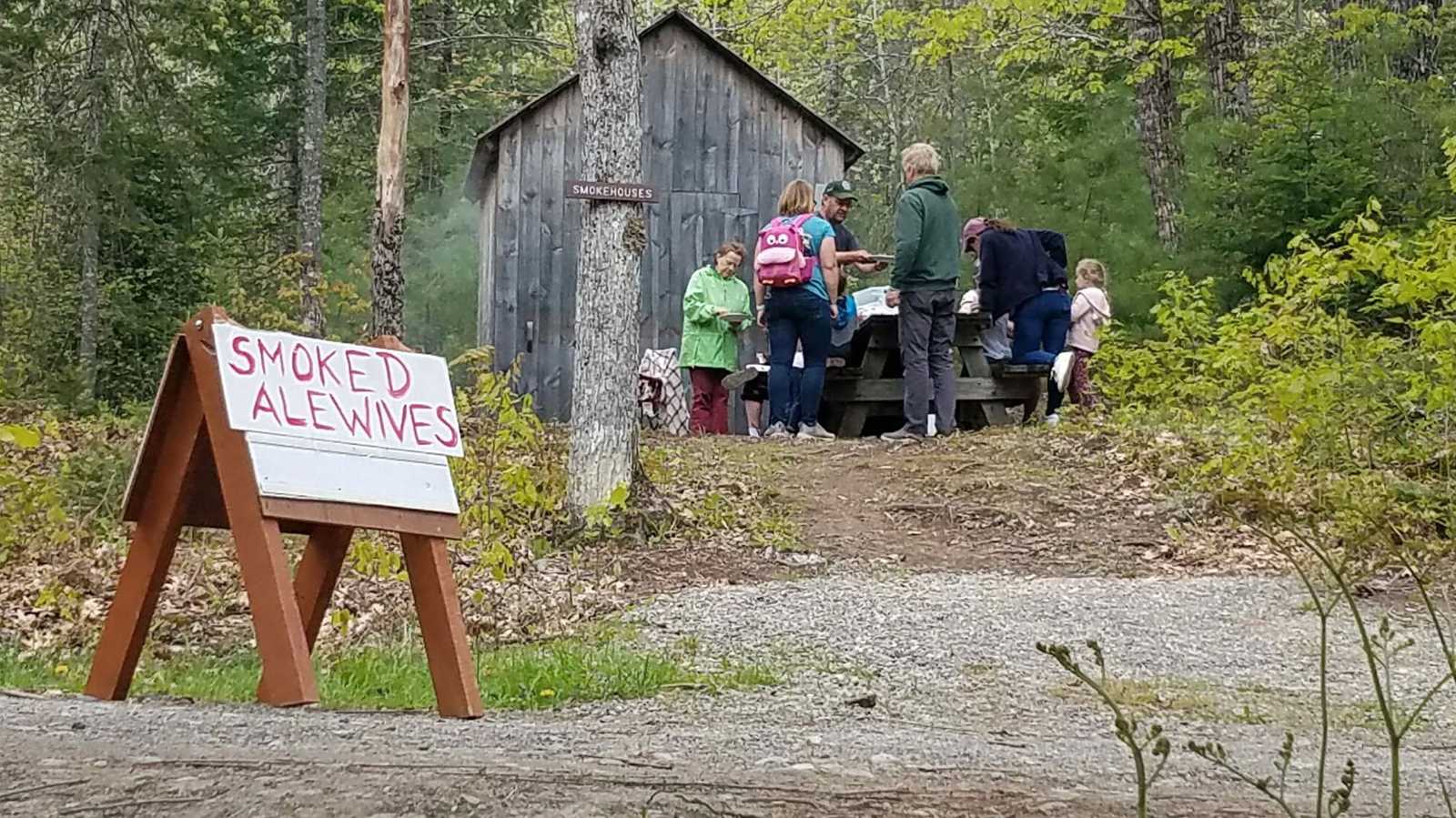 Visitors trying tasting freshly smoked Alewife fish at a museum event.