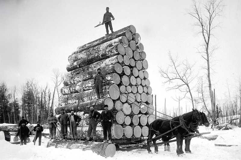 The World's Fair 1893 load of logs, 36,055 feet