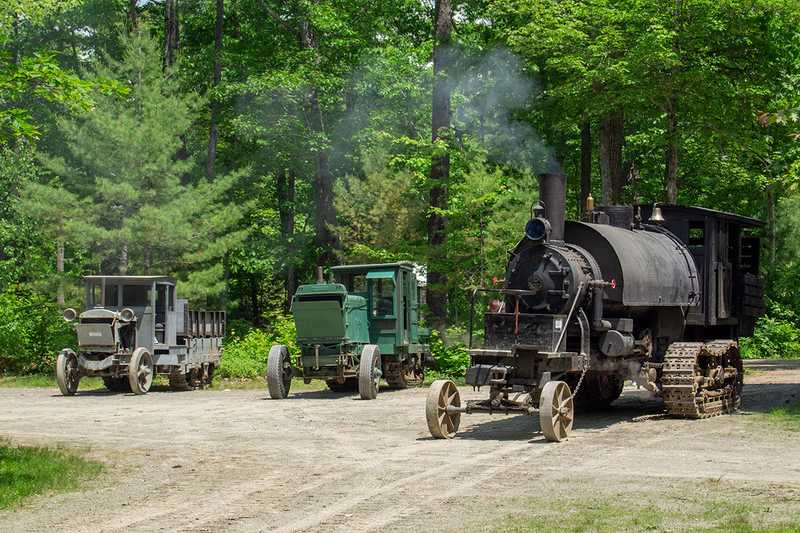 Lombards on active display at a museum event 