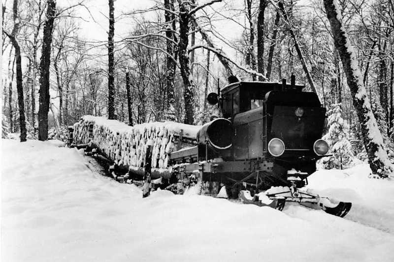 Lombard hauling sleds full of pulpwood. 