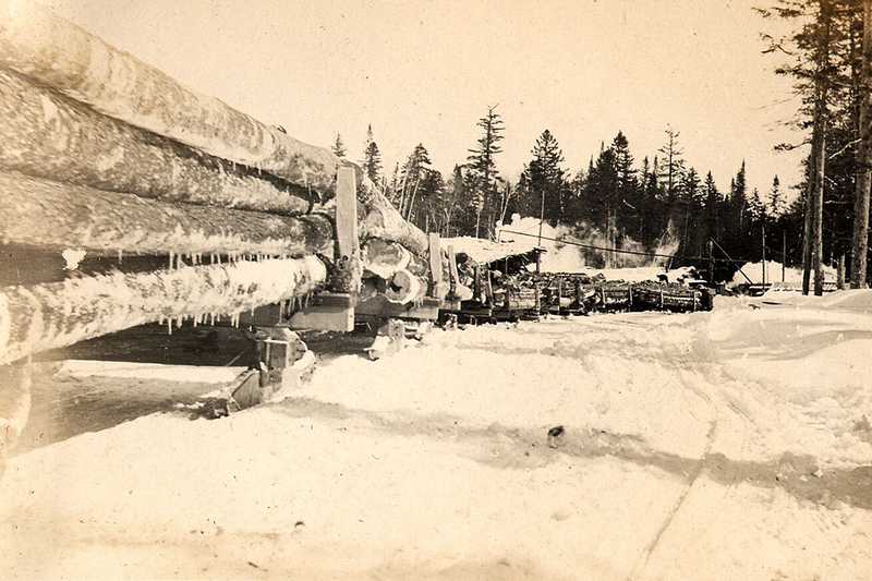 Train of log sleds at Russel Brook, circa 1909