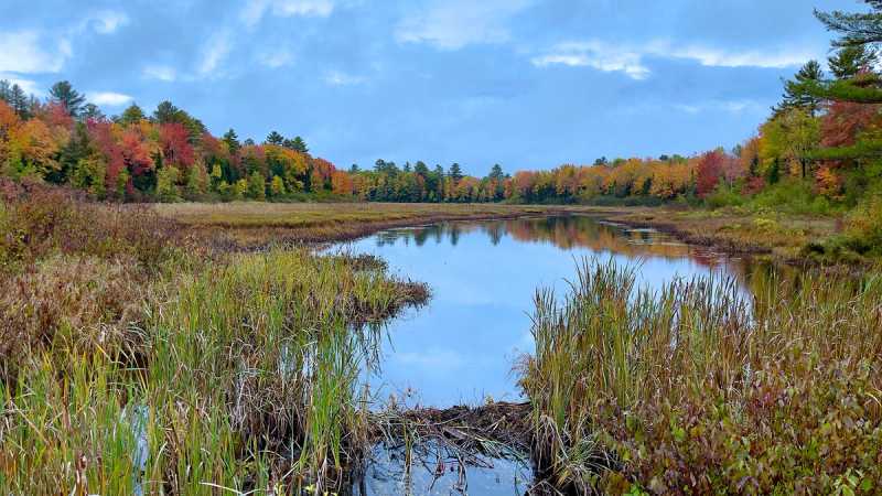 View of the Blackman Stream during the Fall months. 