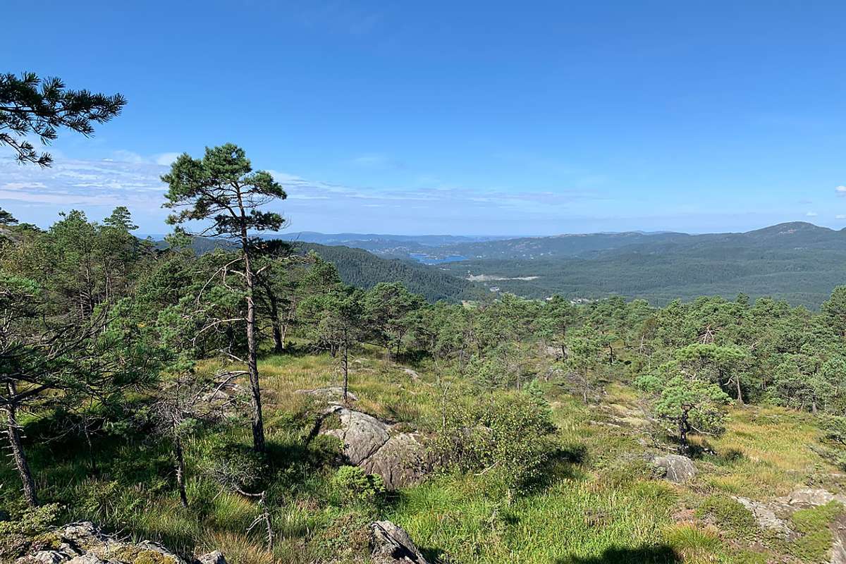 Framtidig utsikt frå dagstyrhytta på Borgafjellet, mot Endalausmarka og Lysefjorden. (Foto: Bjørnafjorden kommune)