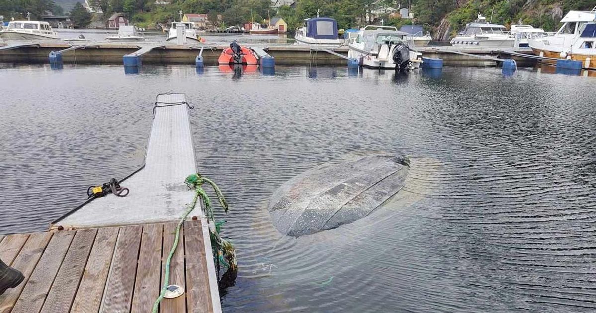 Båt funnen på rek, med kjølen opp - Midtsiden