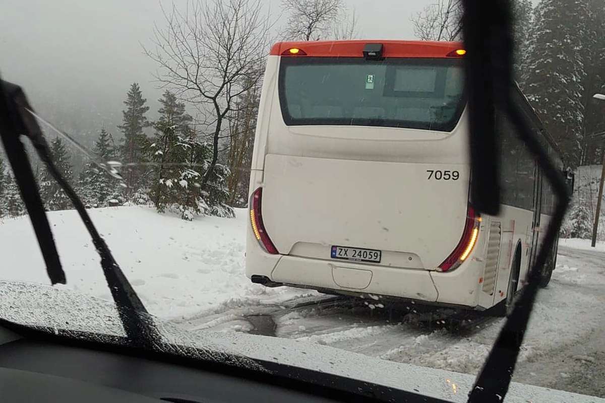(Lesarbilde, foto: Ingunn Hagevik Tjore)
