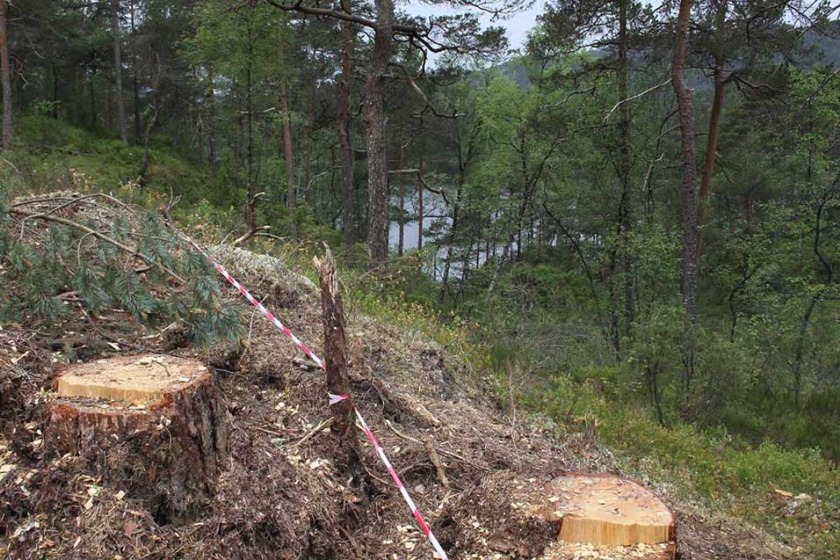 – Neppe snakk om ulovleg jakt