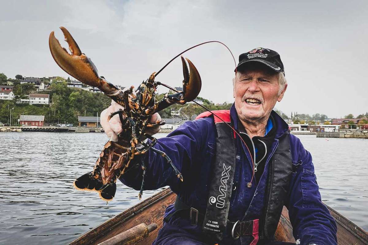 På hummarfiske med John Lepsøy (87)