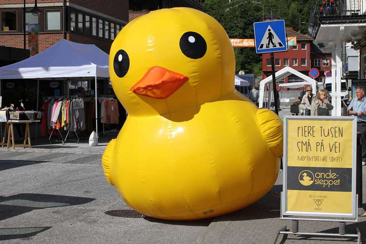 Kva er det med denne anda?