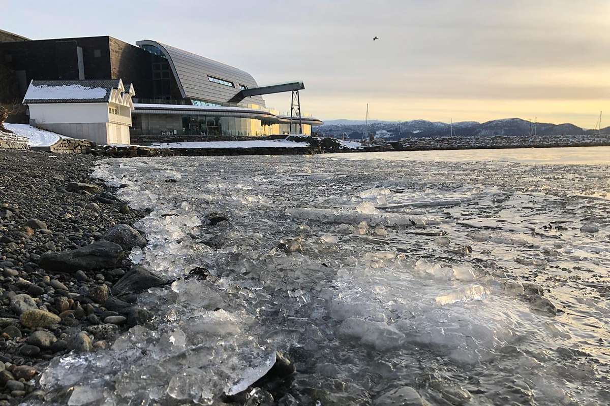 Fleire funn av død hestmakrell i Os og på Tysnes