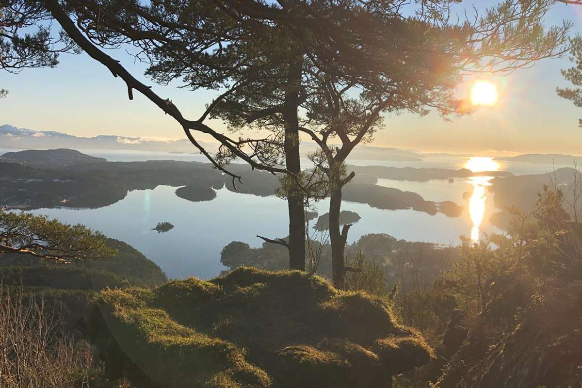 Januar 2021: Kjøp og sal av eigedom