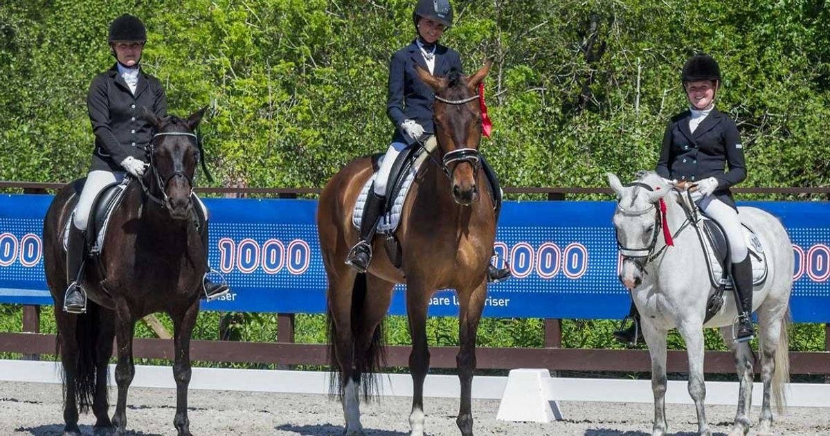 Sterkt av Anne Mathilde - Midtsiden