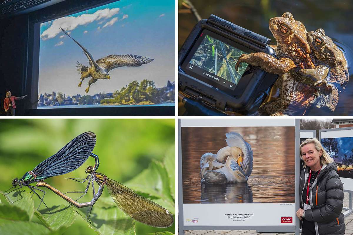 Viste Bjørnafjorden-naturen med pecha kucha-metode
