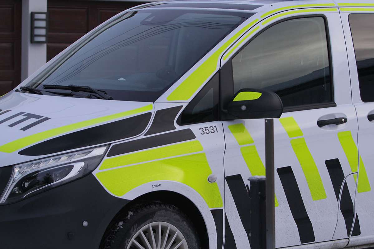 Stal elsykkel mens eigar var og handla