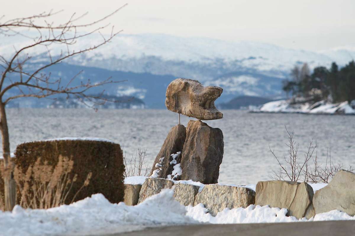 Det er gjort funn av død hestmakrell frå Os til Bjørnatrynet. (Foto: KVB)