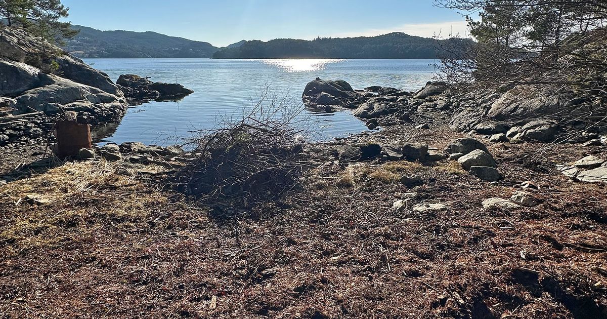 Flaumer «Mission impossible» løyst av Livskvalitet - Midtsiden