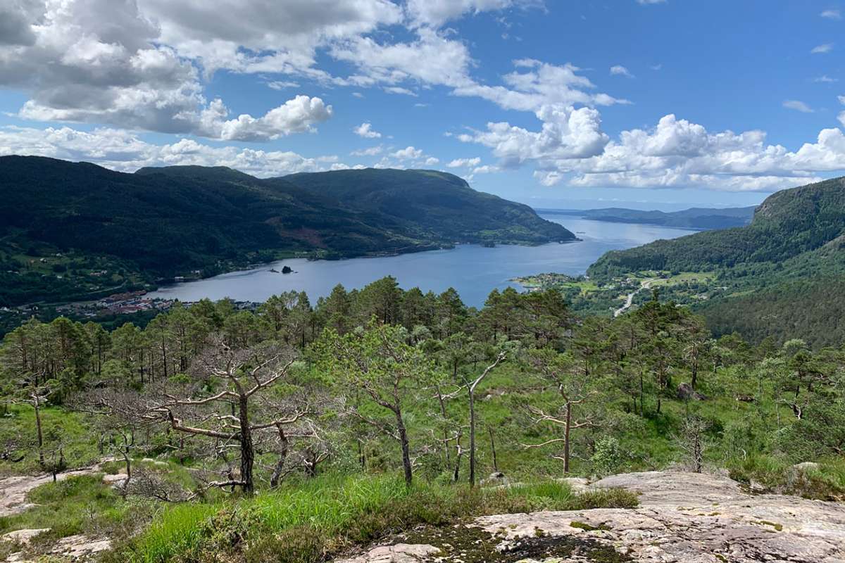 Framtidig utsikt frå dagsturhytta på Vetlevardhaugen mot Eikelandsfjorden. (Foto: Bjørnafjorden kommune)