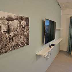 Utsikt til Tropehagen og kyr frå Bjånes på veggen. (Foto: KOG)