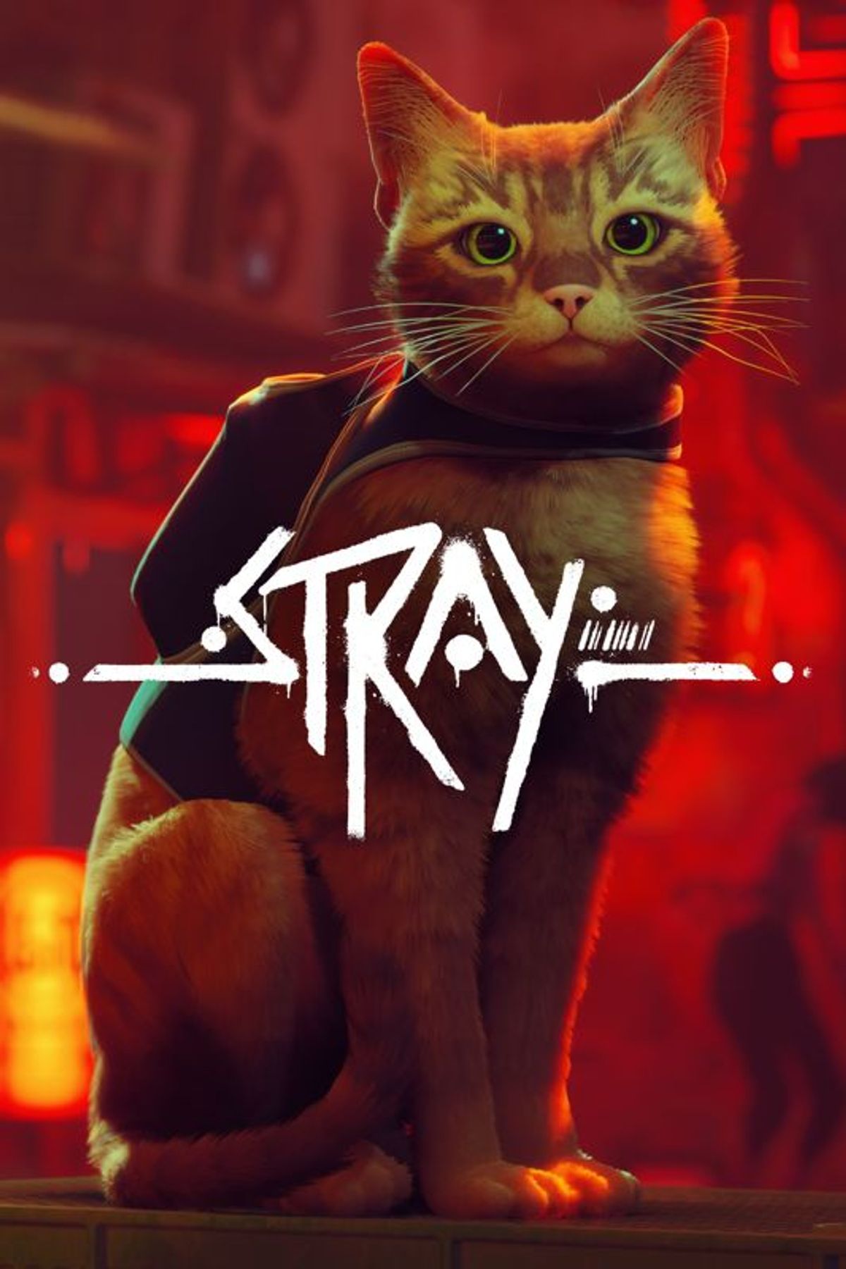 stray.game