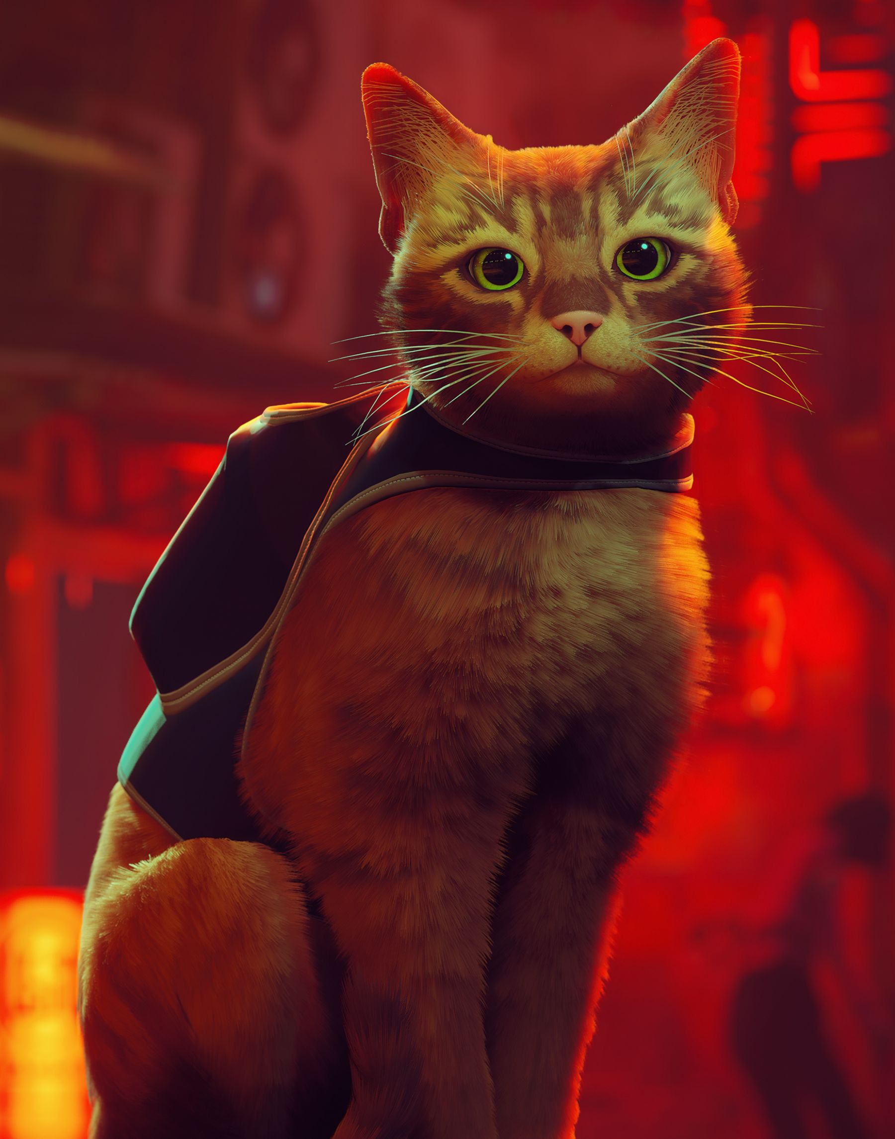 Stray - Annapurna Interactive