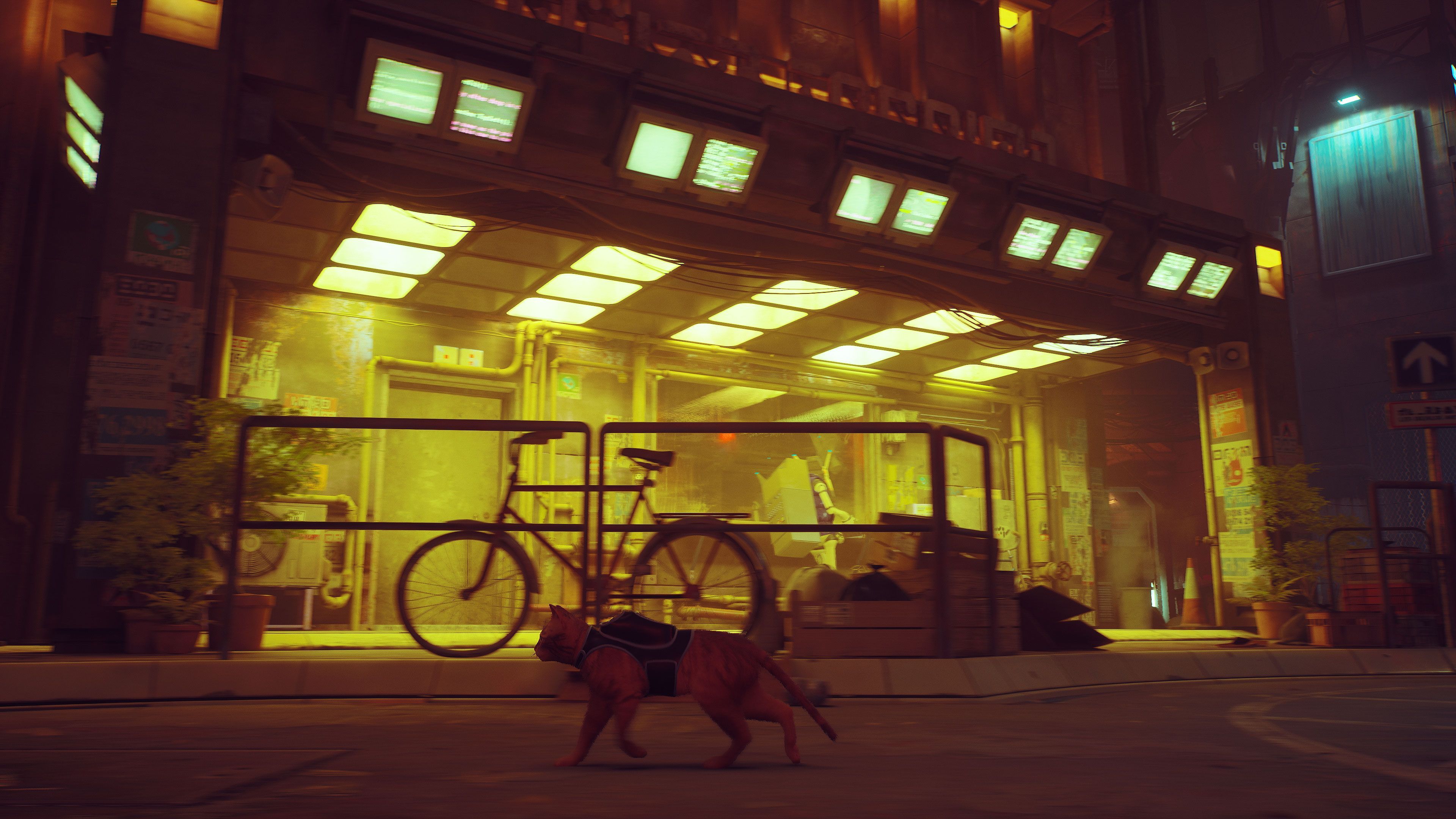 Stray - Annapurna Interactive