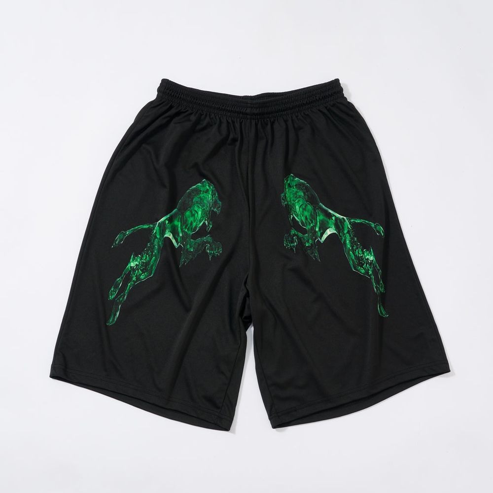 Green Lion / The Fool Basketball Shorts (Black) - View 1