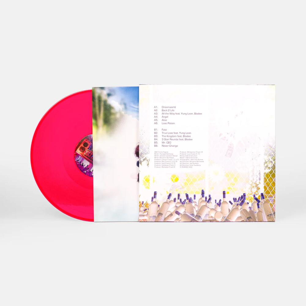 Back 2 Life Vinyl (1st Pressing) — image 3 of 4