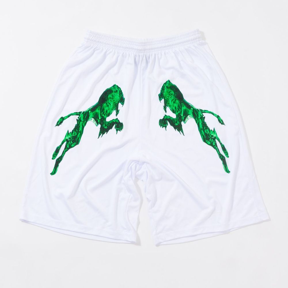 Green Lion / The Fool Basketball Shorts (White) - View 1