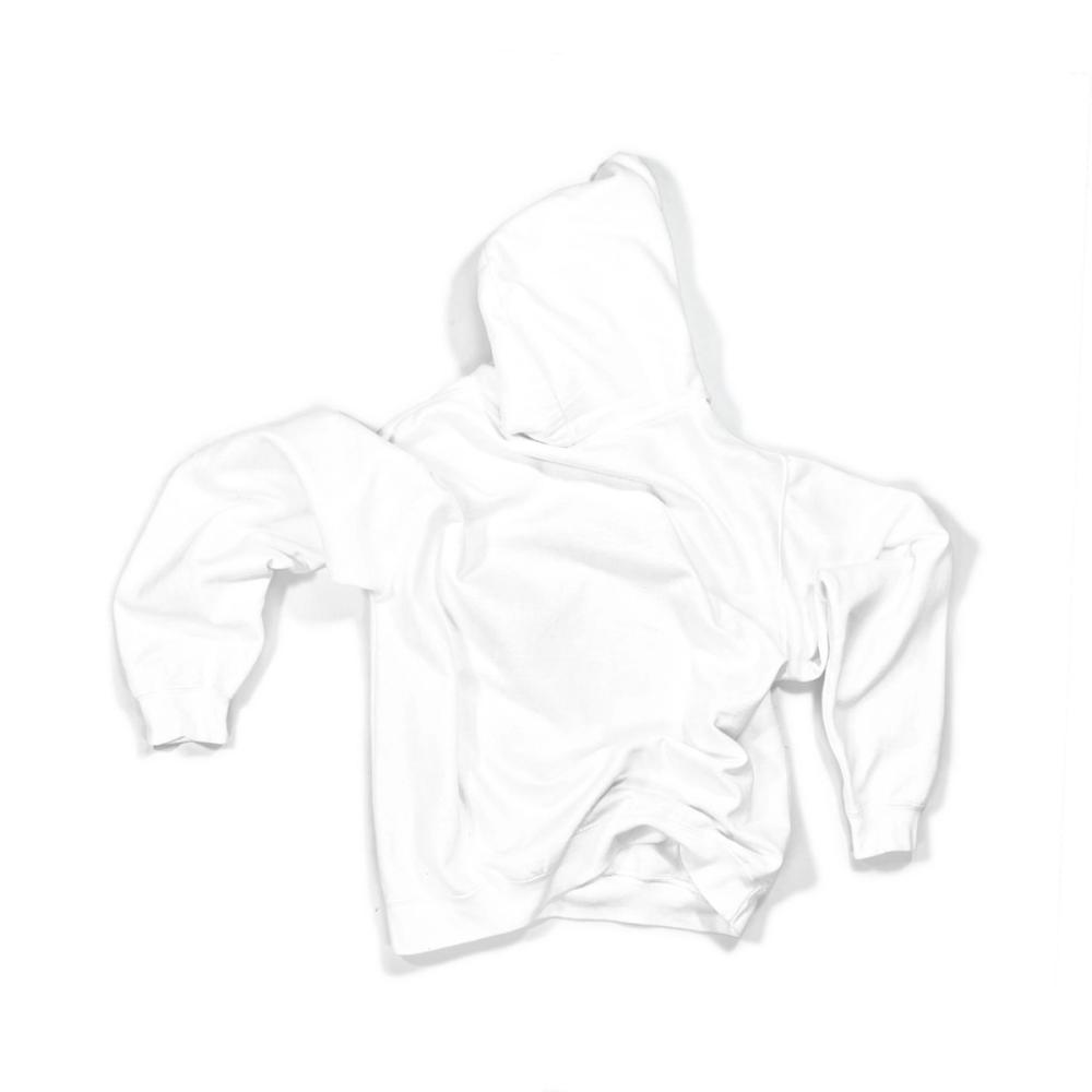 Rainworld Hoodie (Karman) — image 2 of 7