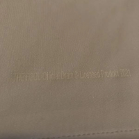 Green Lion / The Fool Basketball Shorts (White) - Thumbnail 5