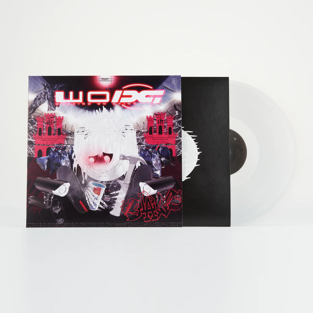 Working On Dying Vinyl (2nd Pressing) - View 1