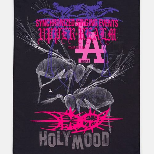 D9 LA Flag