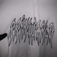 Rainworld Hoodie (VFILES) - Thumbnail 5