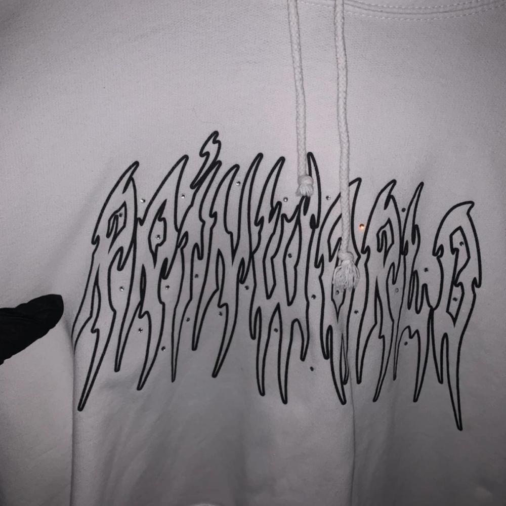 Rainworld Hoodie (VFILES) — image 5 of 5