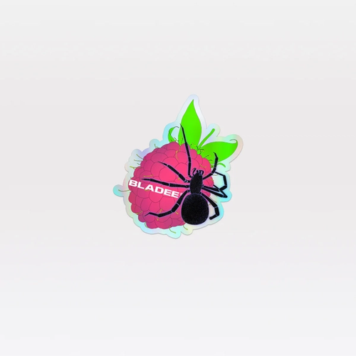 Spiderr Holographic Sticker