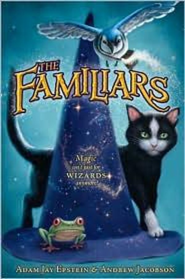 Cover of The Familiar by Leigh Bardugo