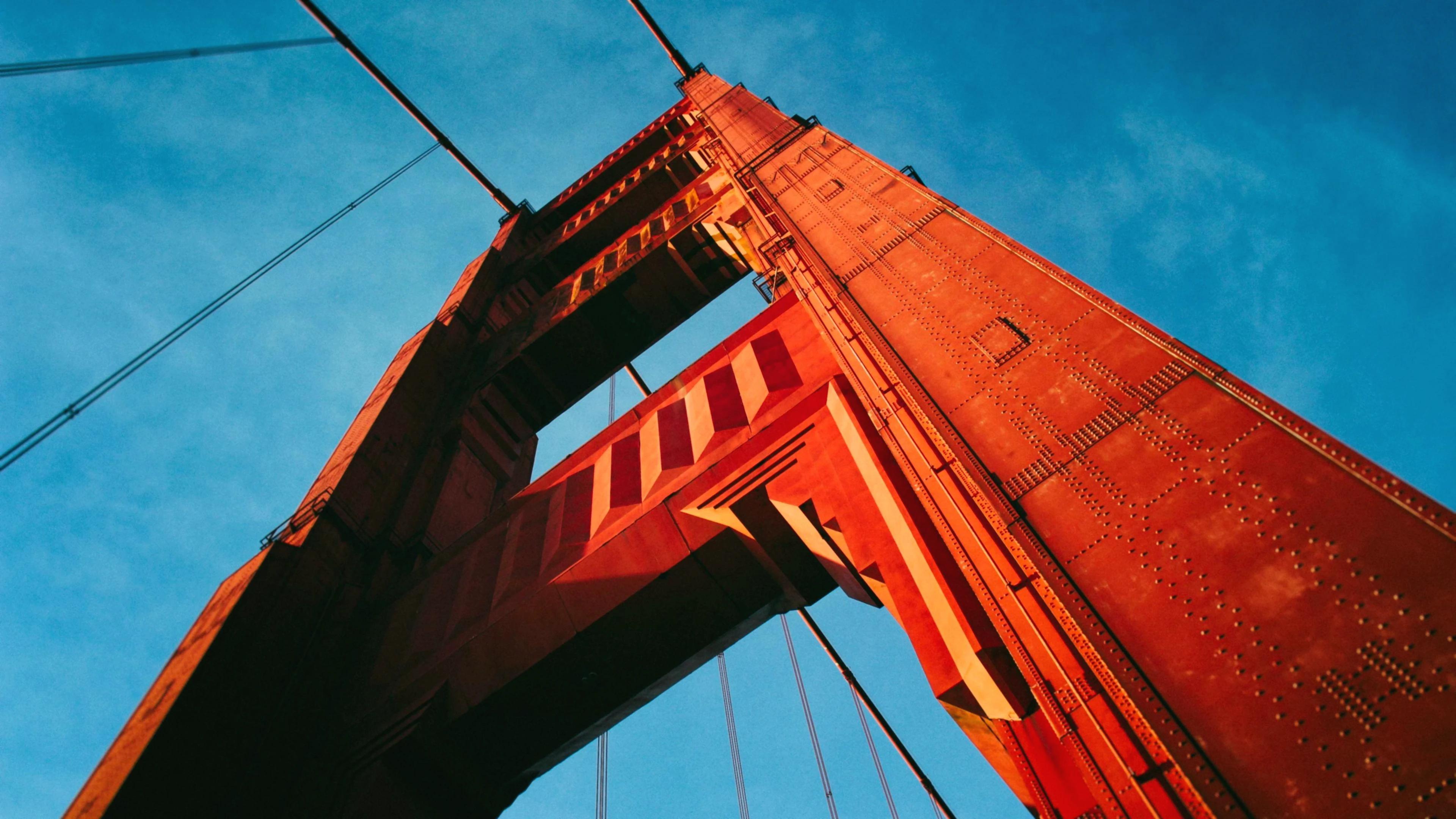 Editorial luxury perspective on clause-by-clause - View 4