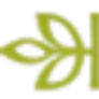 Ancestry Logo