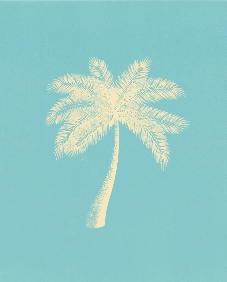 Intro Cards - Palm Tree A-Trak