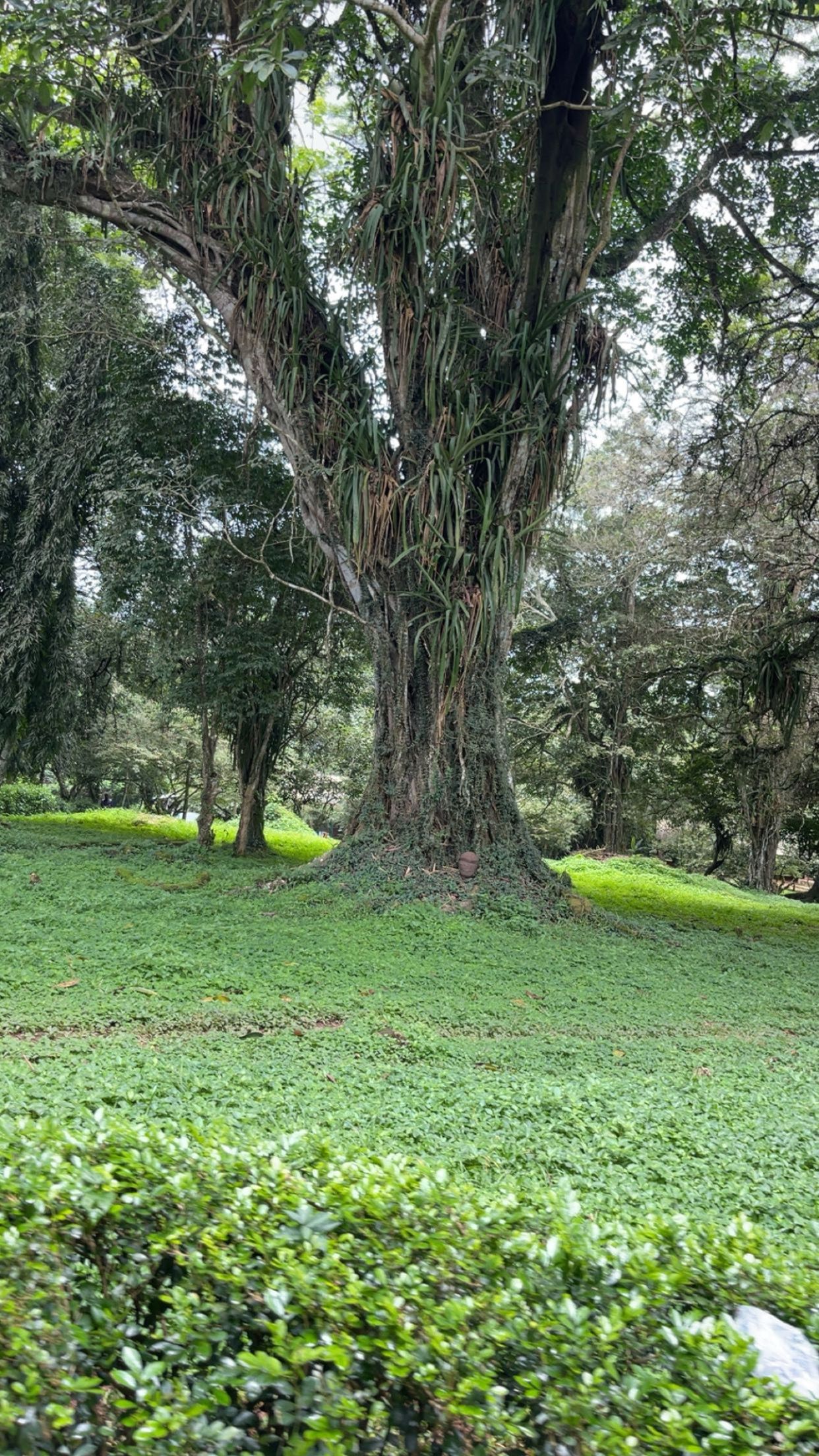 gallery-1