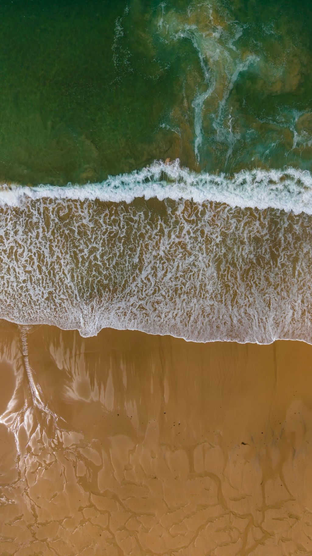 Côte sauvage de la presqu’île de Quiberon