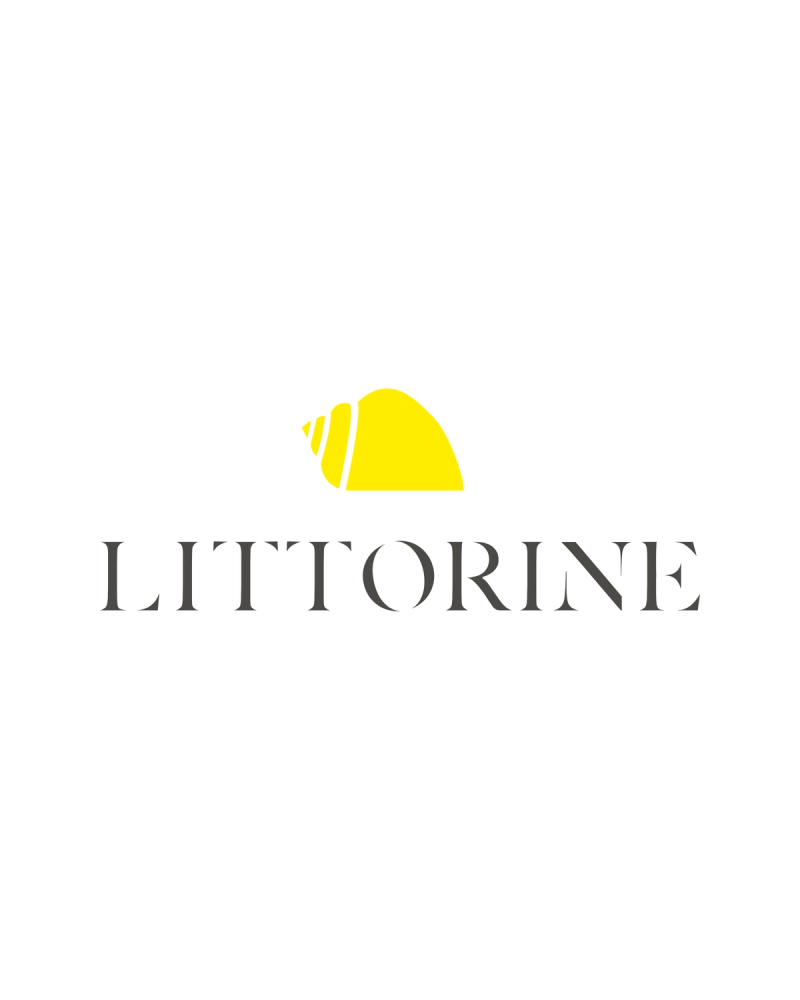Logo Littorine, un coquillage jaune au-dessus du nom de la conciergerie, sur fond blanc