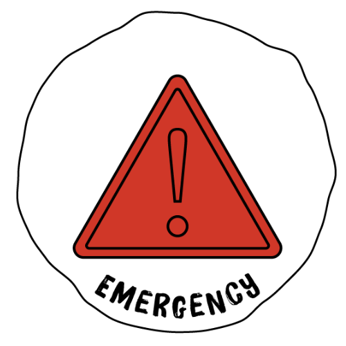 emergency icon