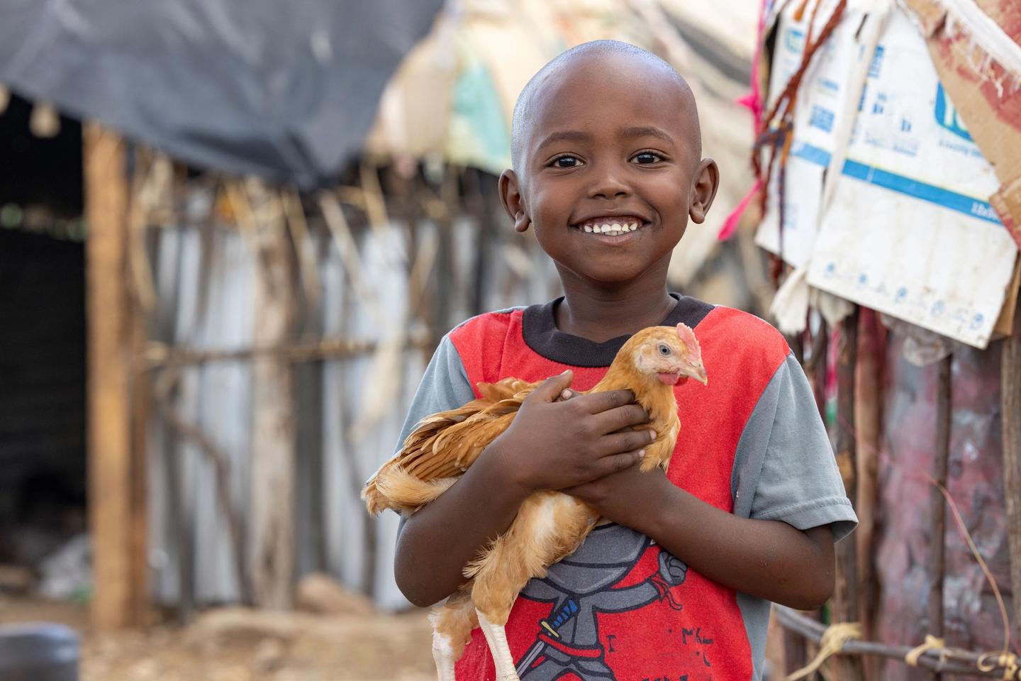 Child holding chicken