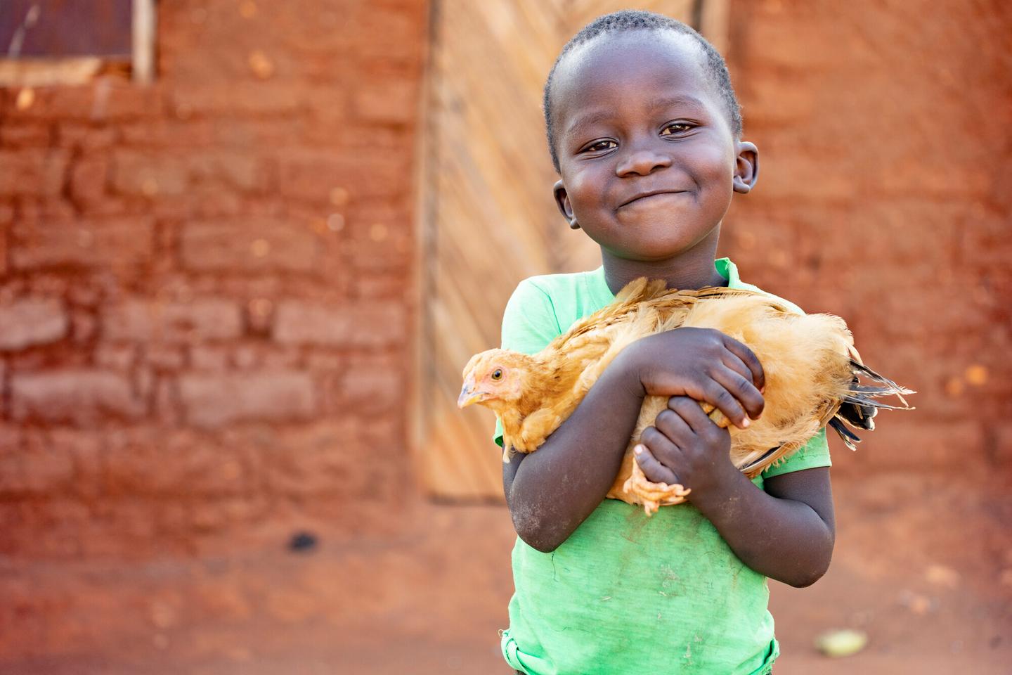 child holding chicken
