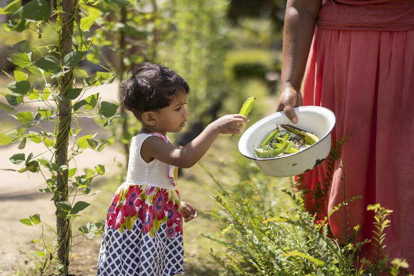 child in vegetable garden