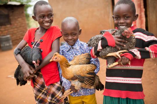 Children holding chickens