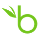 BambooHR logo