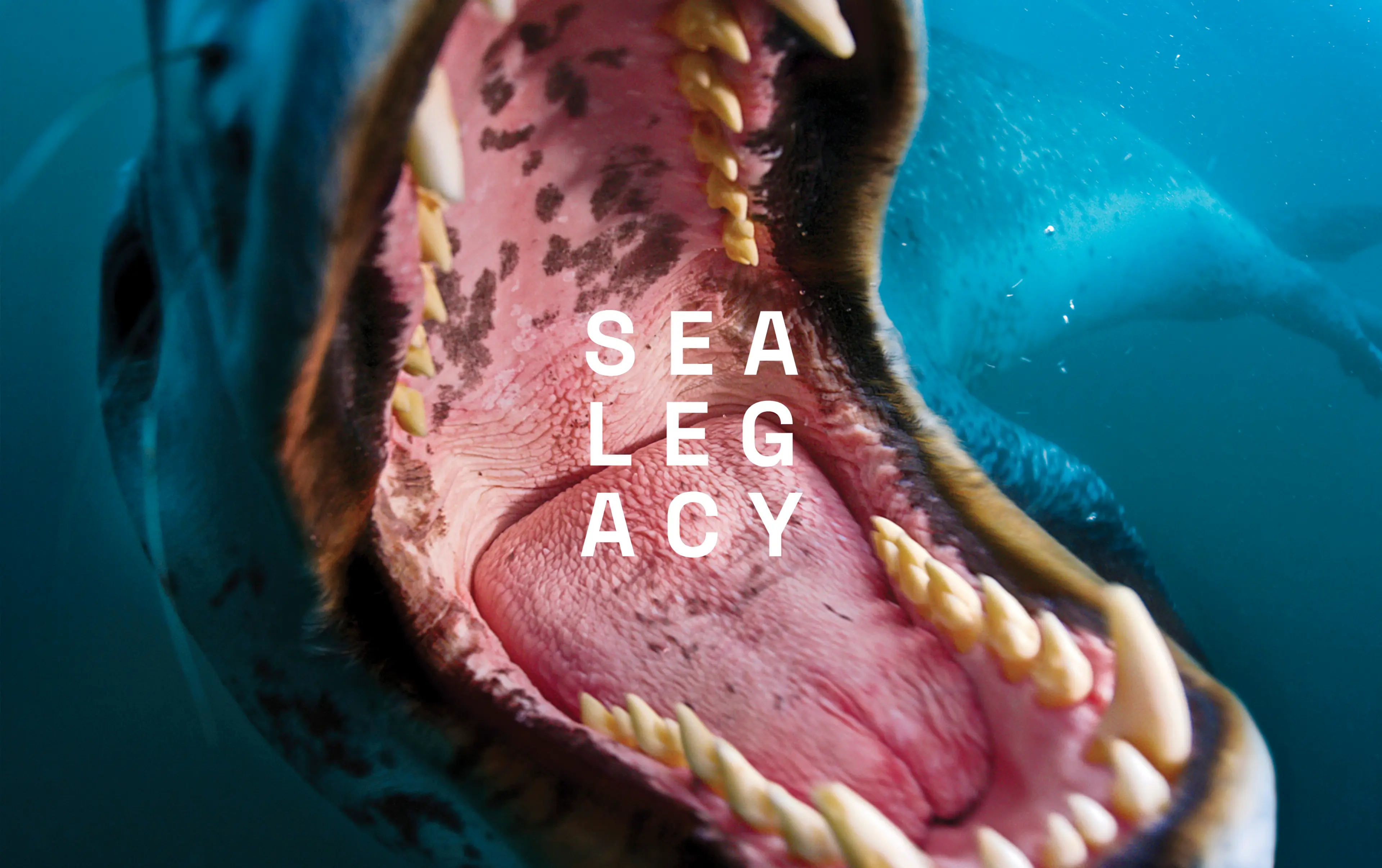 SeaLegacy by Driftime®
